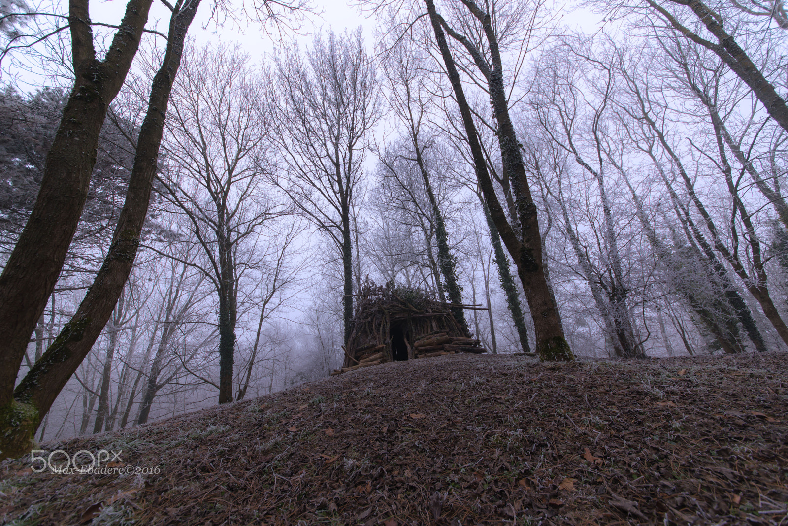 Sigma 12-24mm F4.5-5.6 II DG HSM sample photo. La cabane dans les bois photography