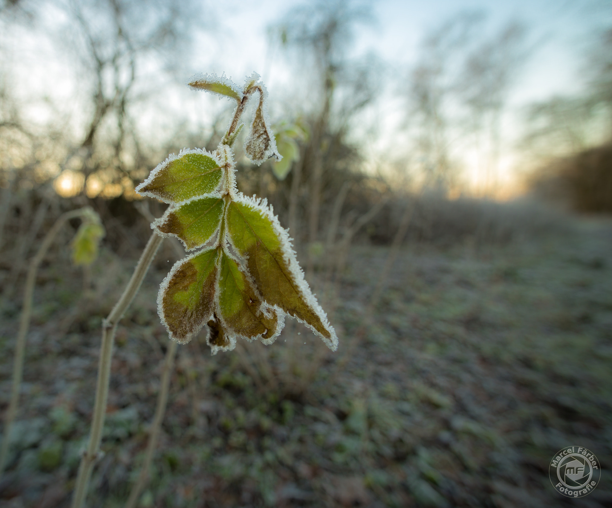 Canon EF 14mm F2.8L USM sample photo