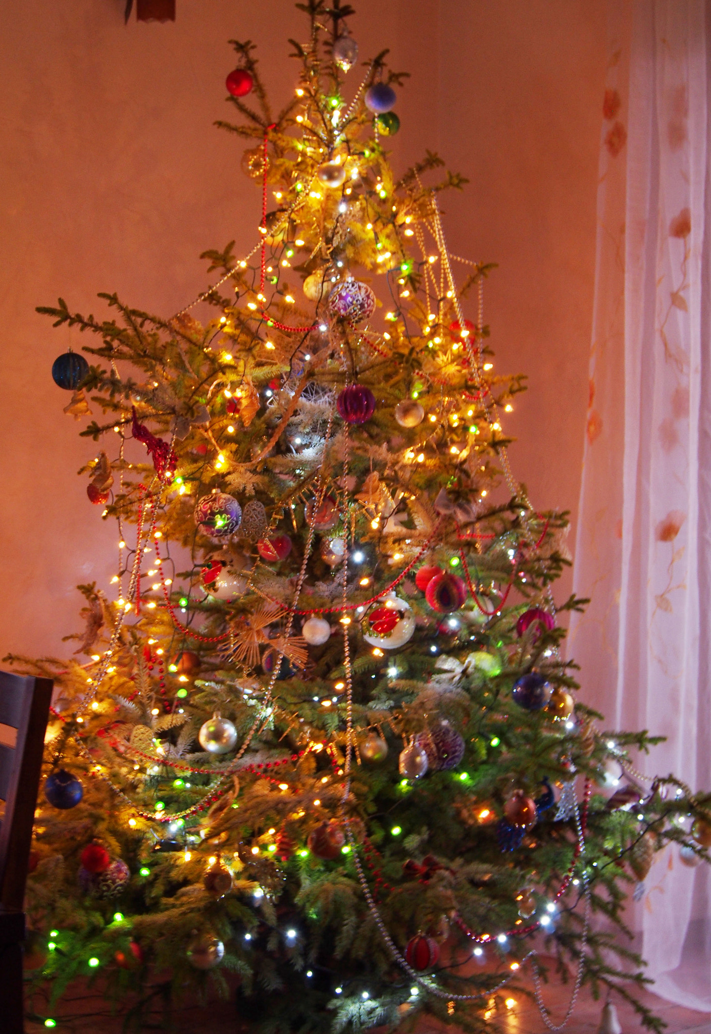 Olympus PEN E-PL5 sample photo. Christmas tree photography