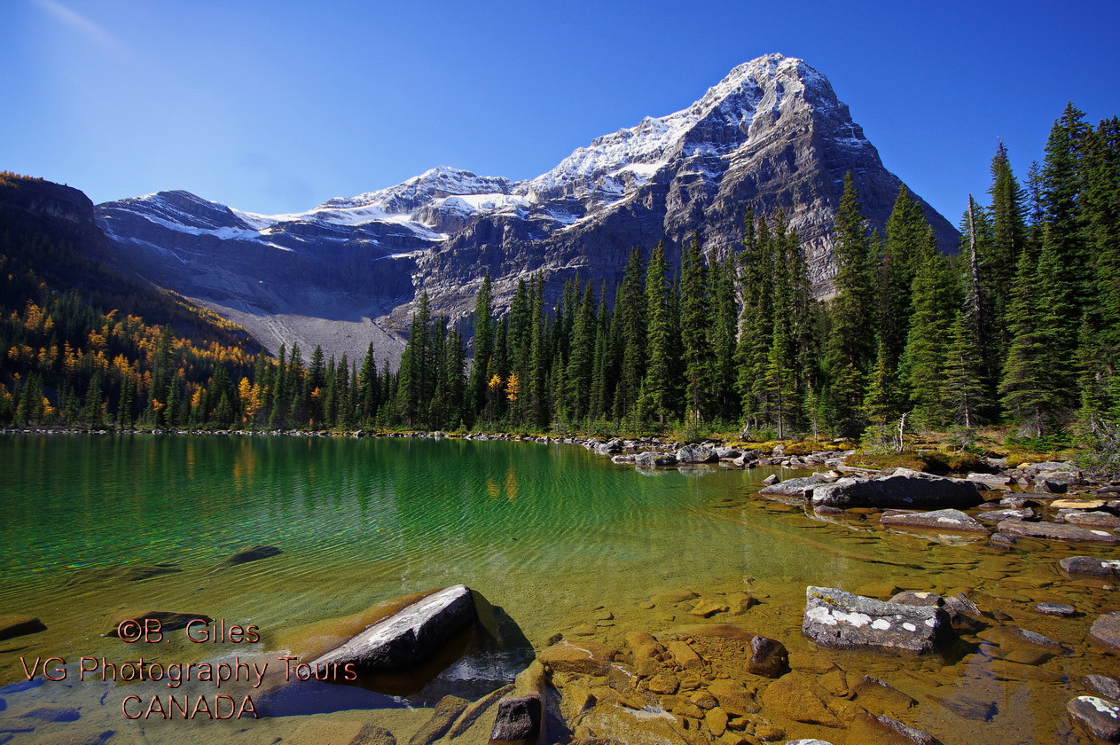 Sigma AF 10-20mm F4-5.6 EX DC sample photo. Rocky mountain fall photography