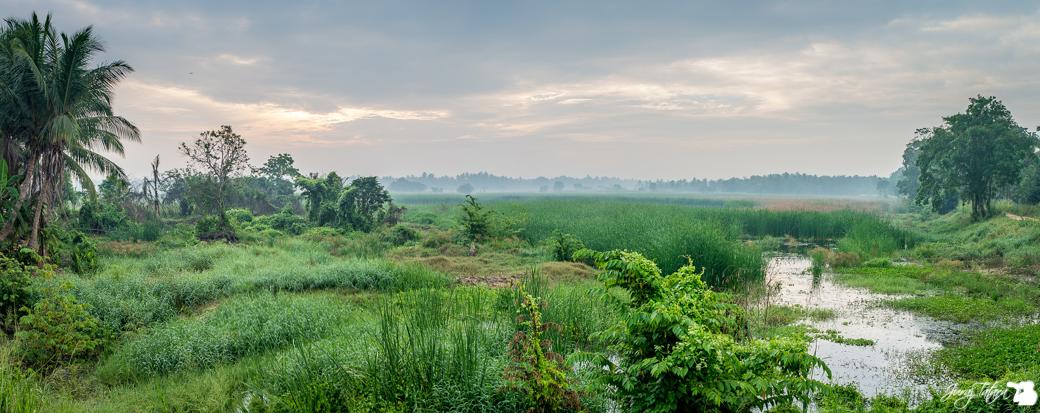 Tamron SP 24-70mm F2.8 Di VC USD sample photo. Sri lanka photography