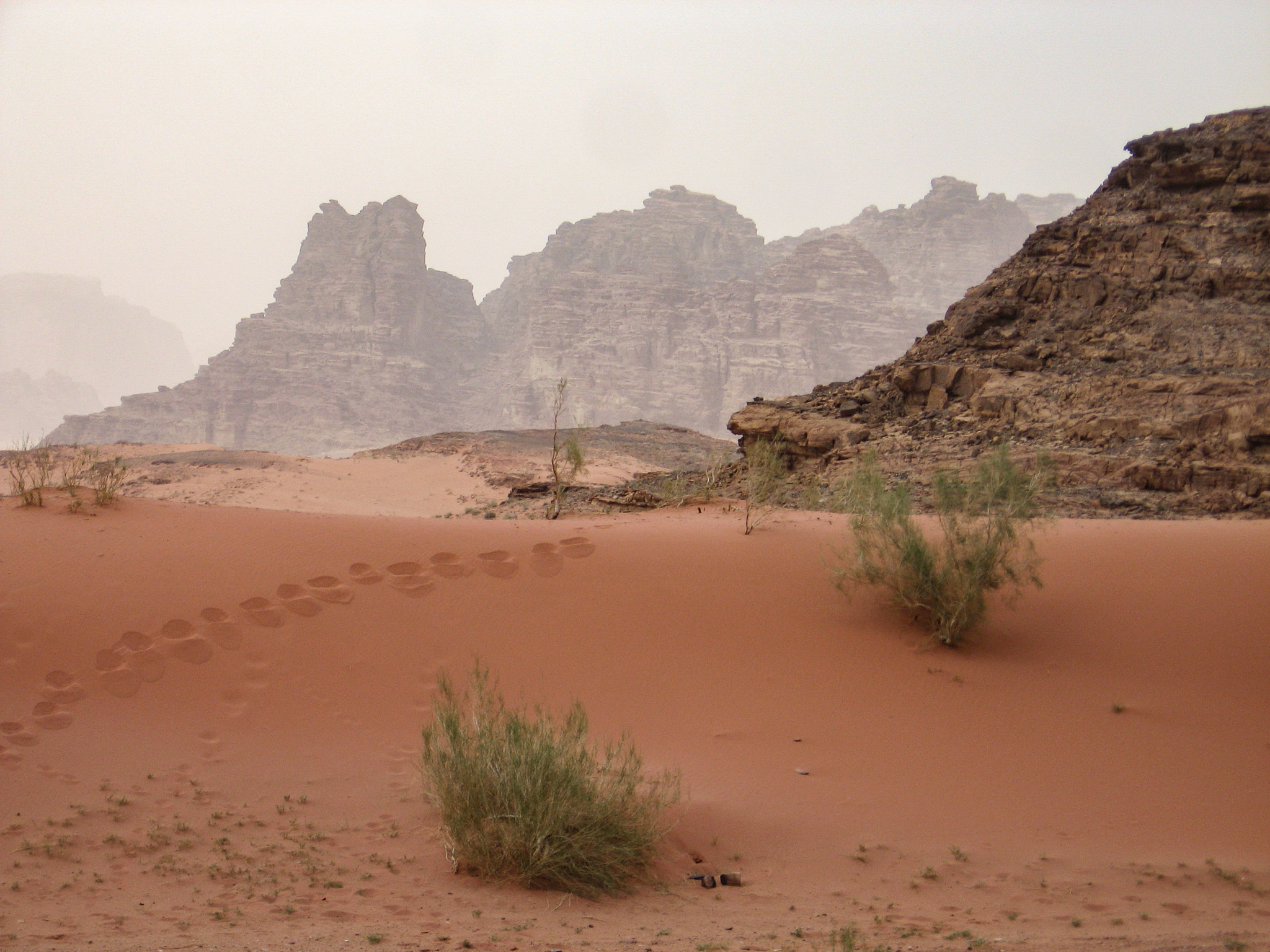 Canon POWERSHOT A540 sample photo. Le wadirum après la pluie photography