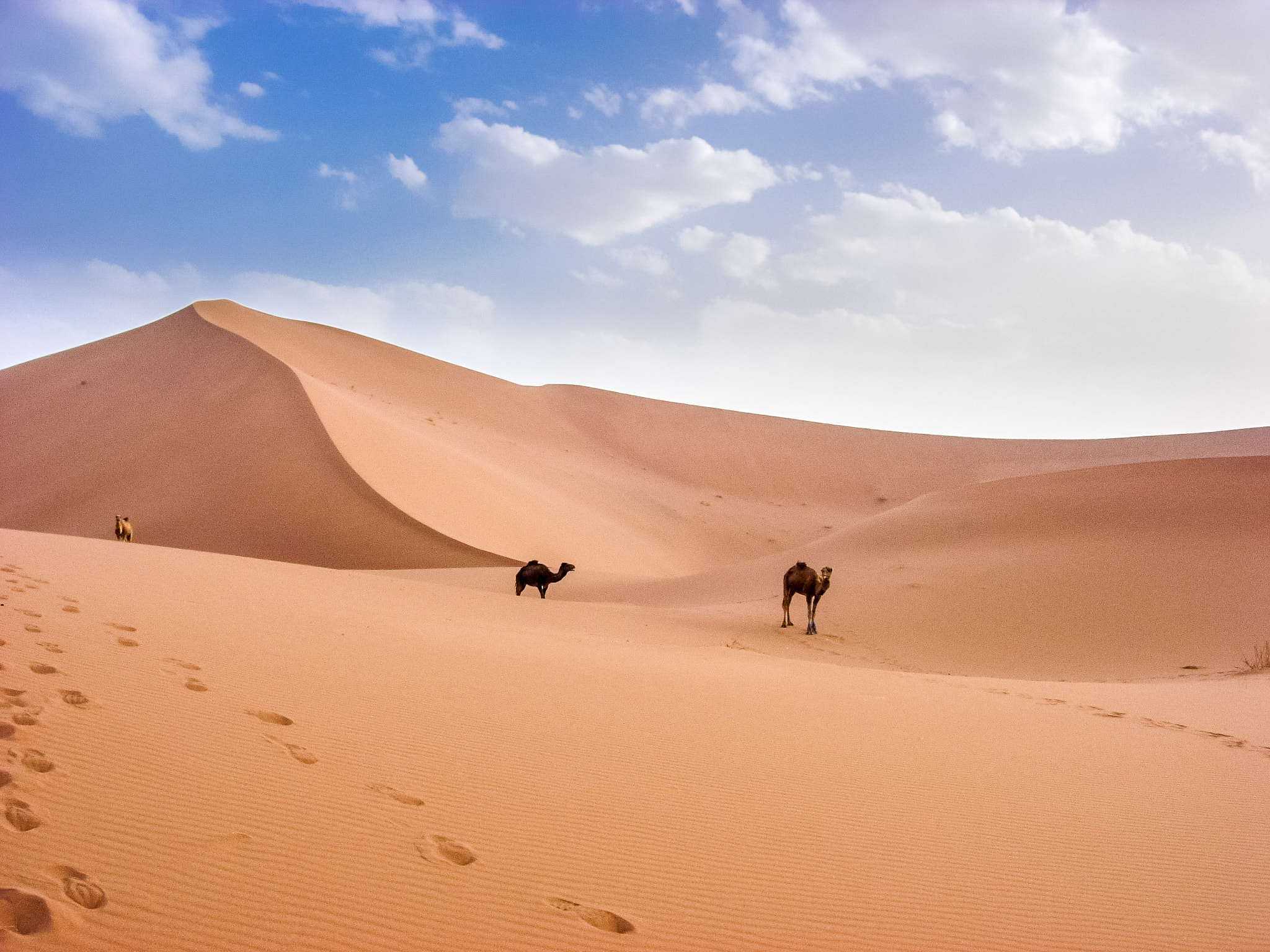 Nikon E5200 sample photo. Dunes du sahara photography