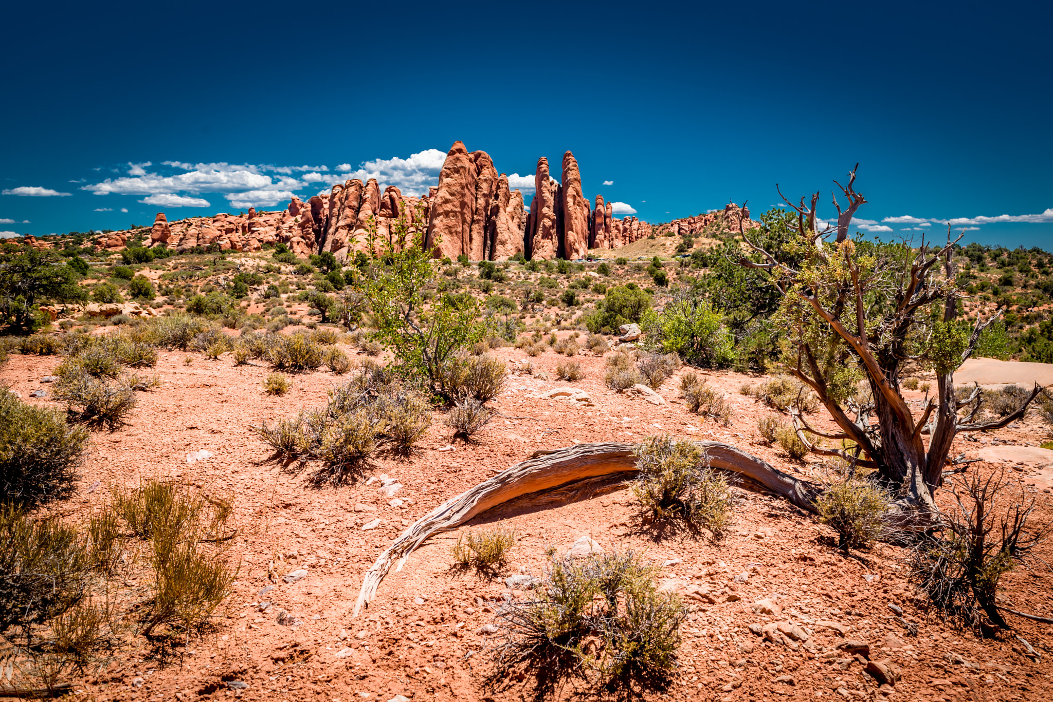 Nikon D750 + Sigma 24-70mm F2.8 EX DG Macro sample photo. The desert of arches  photography