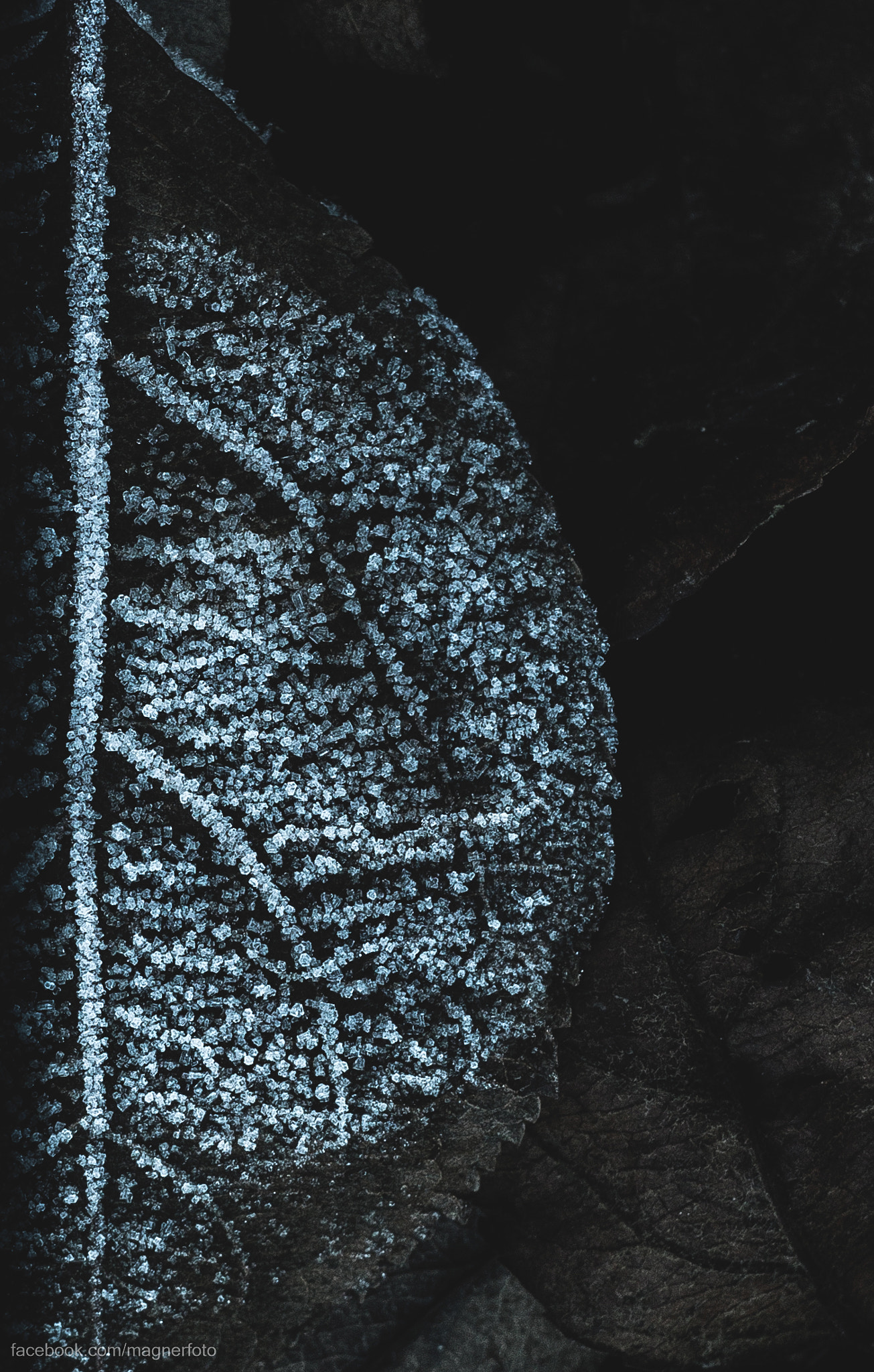 Canon EF 35-80mm f/4-5.6 sample photo. Cold morning photography