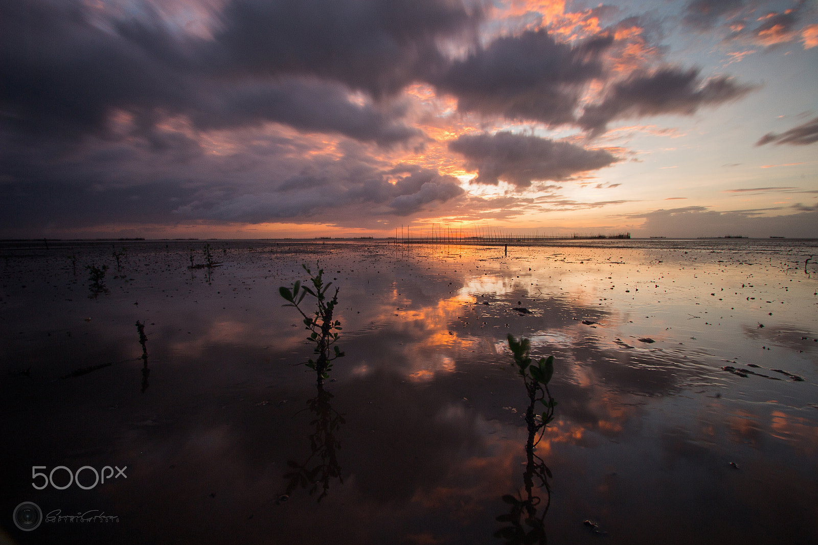 Canon EF-S 10-22mm F3.5-4.5 USM sample photo. Last light of 2016 photography