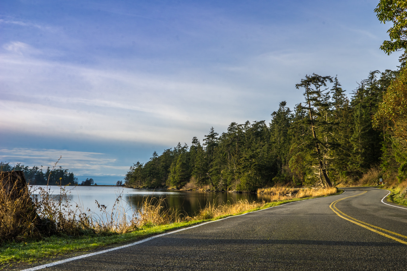 Sony FE 28mm F2 sample photo. Deception pass park photography