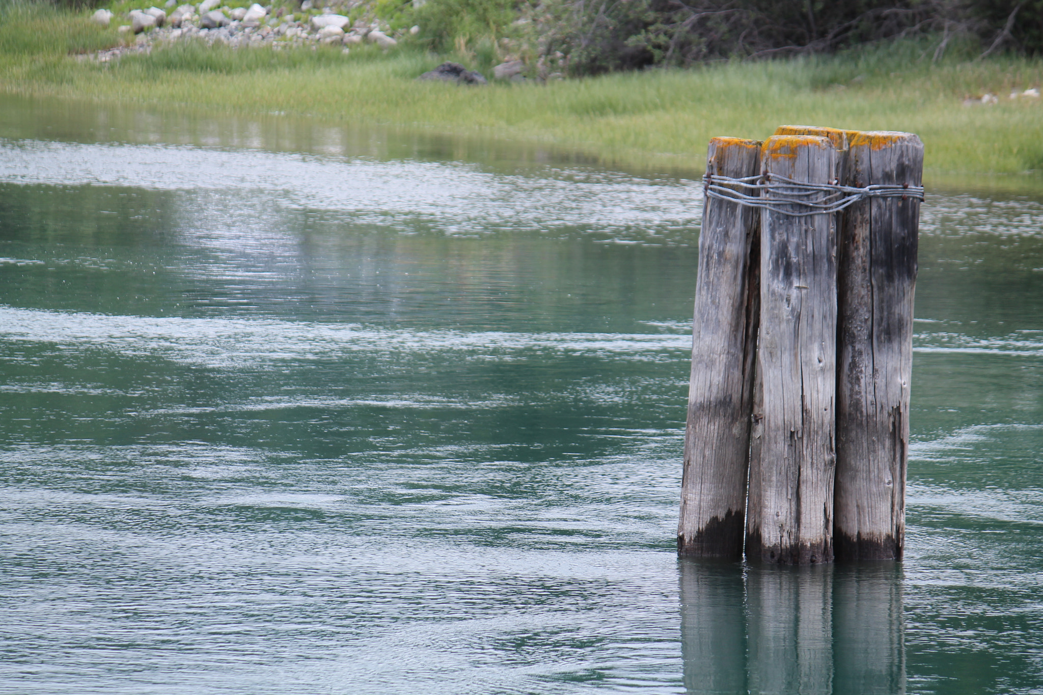 Canon EF-S 55-250mm F4-5.6 IS sample photo. Sturdy photography