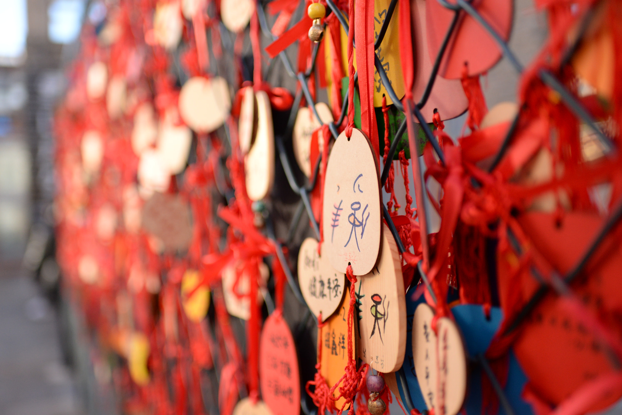 Nikon D610 + Nikon AF-S Nikkor 35mm F1.8G ED sample photo. 新年许愿 photography