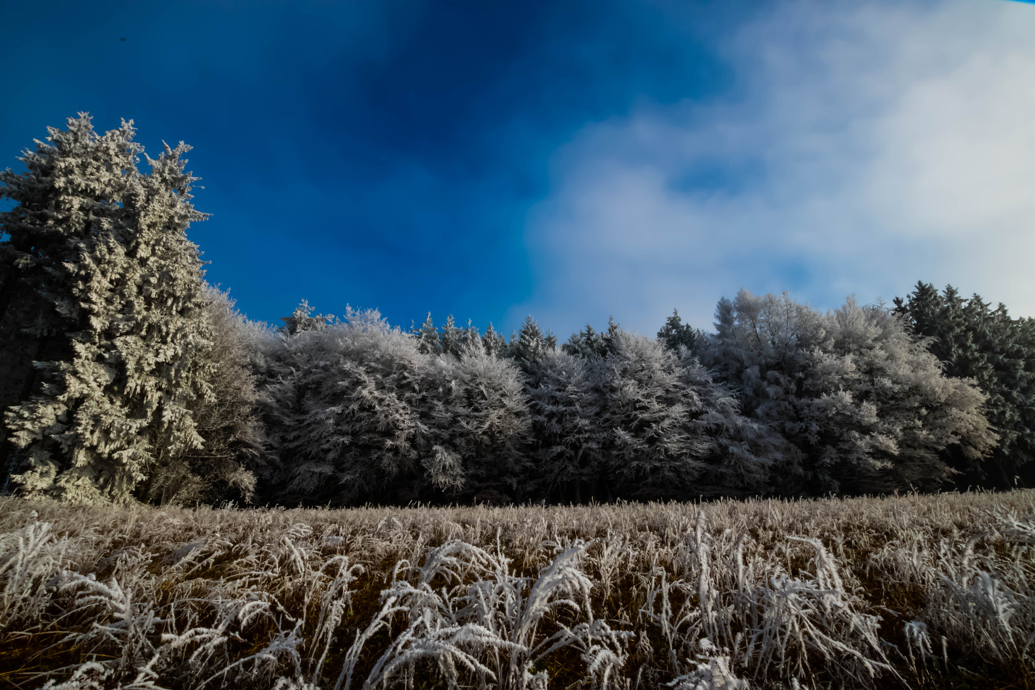 Pentax K-S1 sample photo. Frozen photography