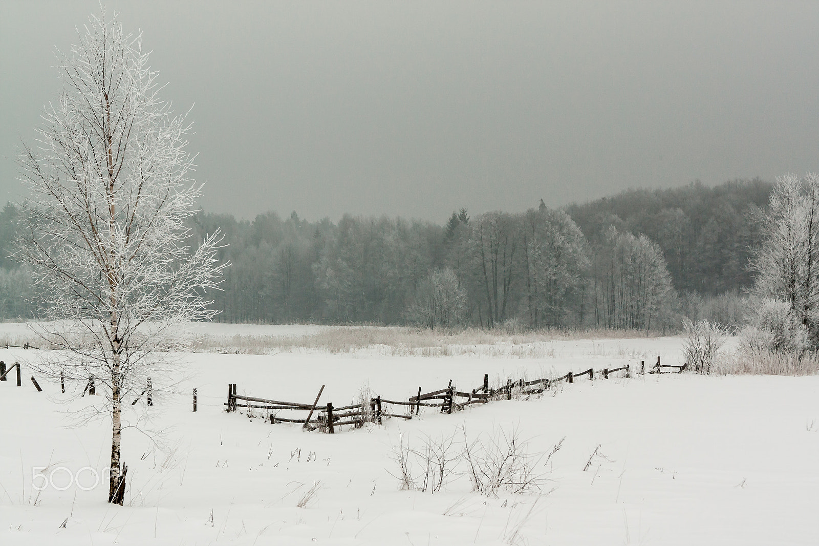 Canon EF 28-135mm F3.5-5.6 IS USM sample photo. Winter photography