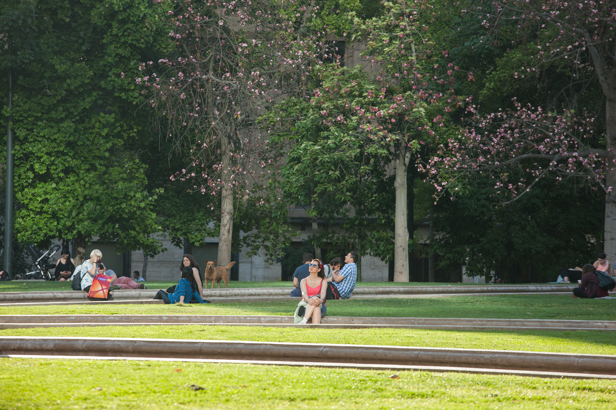Canon EOS-1Ds Mark III sample photo. Perfect light photography