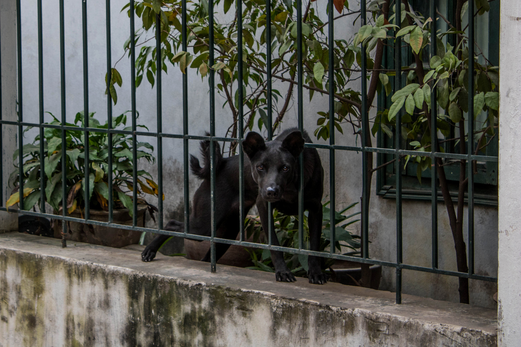 Canon EOS 760D (EOS Rebel T6s / EOS 8000D) sample photo. Brisk anubis photography