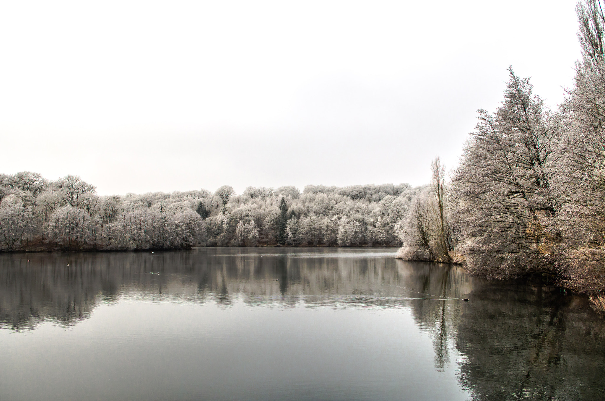 Pentax smc DA 18-55mm F3.5-5.6 AL WR sample photo. Winter lakescape photography