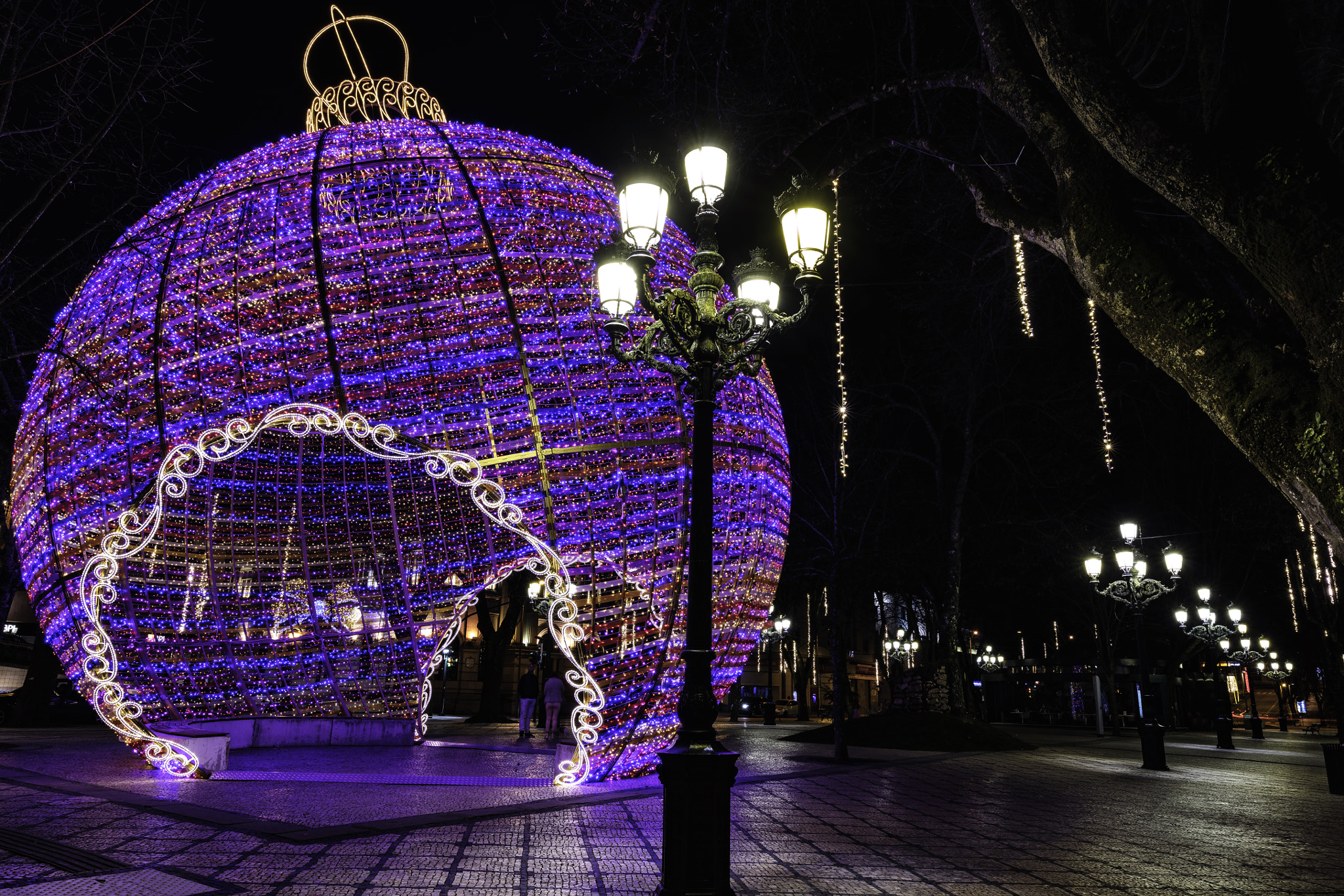 Sigma 24mm F1.4 DG HSM Art sample photo. A photography