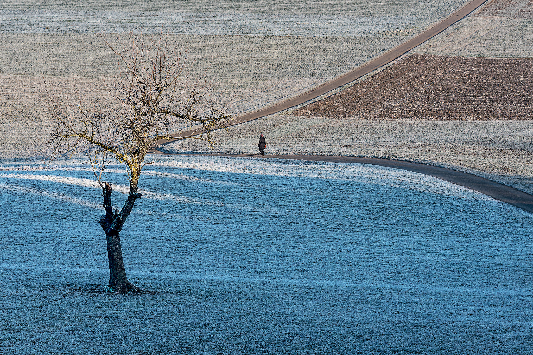 Nikon D750 + Sigma 150mm F2.8 EX DG OS Macro HSM sample photo. Winter i photography