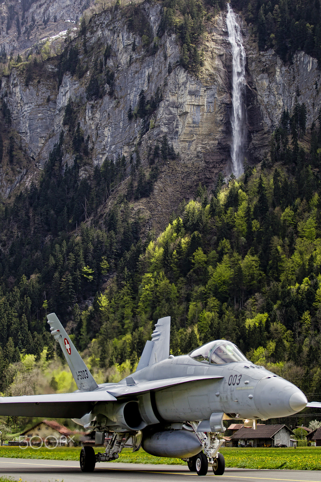 Canon EOS-1D Mark IV sample photo. Hornet photography