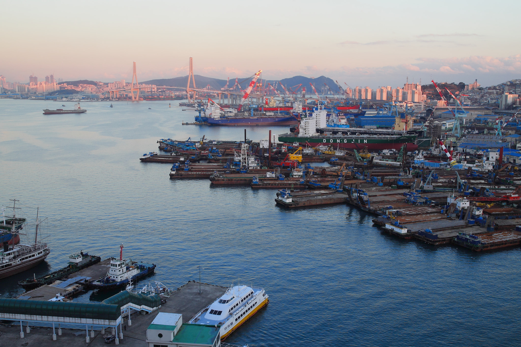 Canon EF 24-70mm F2.8L II USM sample photo. Busan photography