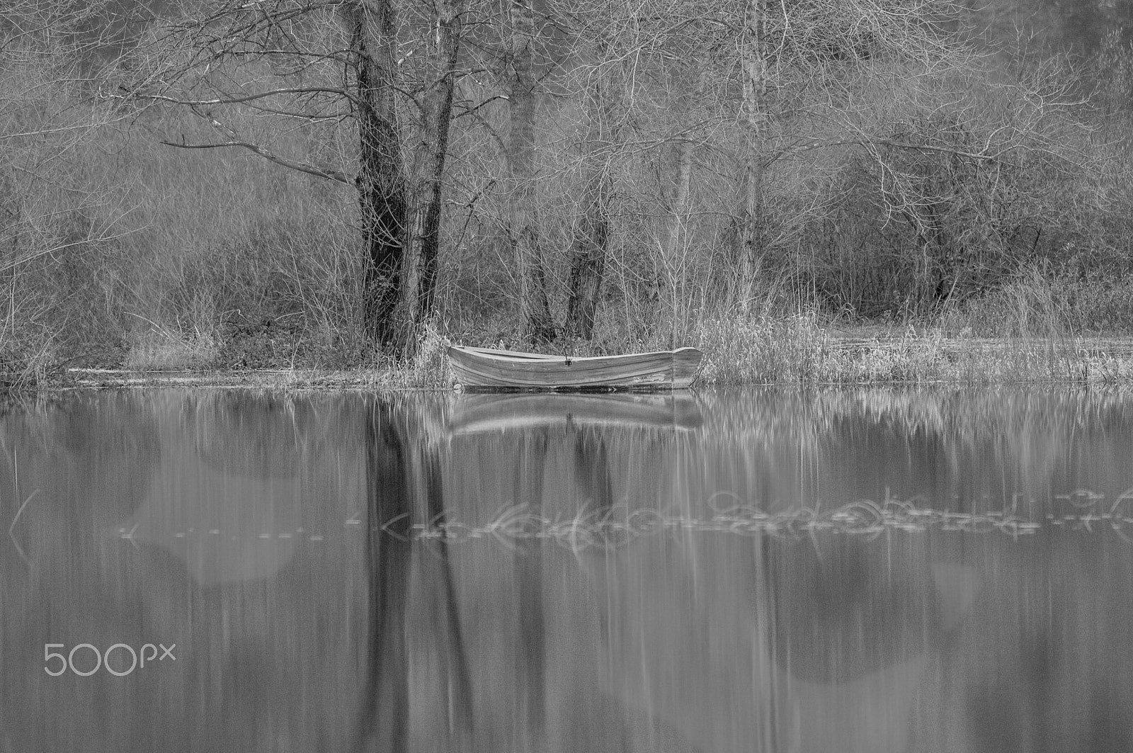 Nikon AF-S Nikkor 70-200mm F2.8G ED VR II sample photo. Cerknica lake in autmn photography