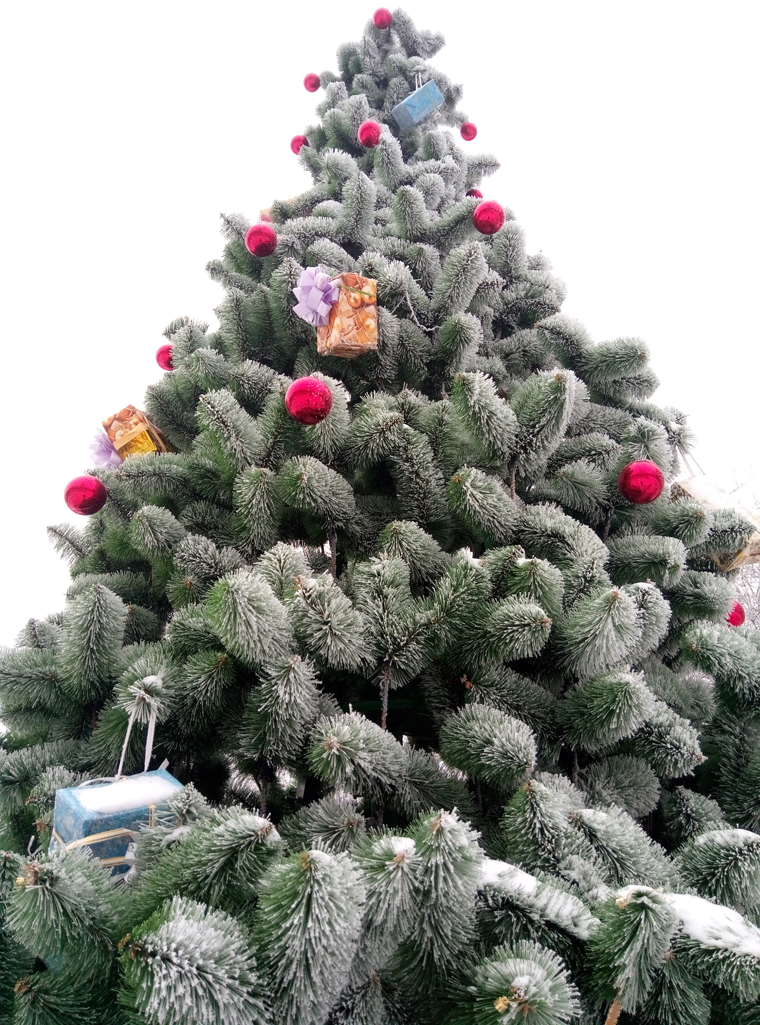 Meizu M3s sample photo. Новый год photography