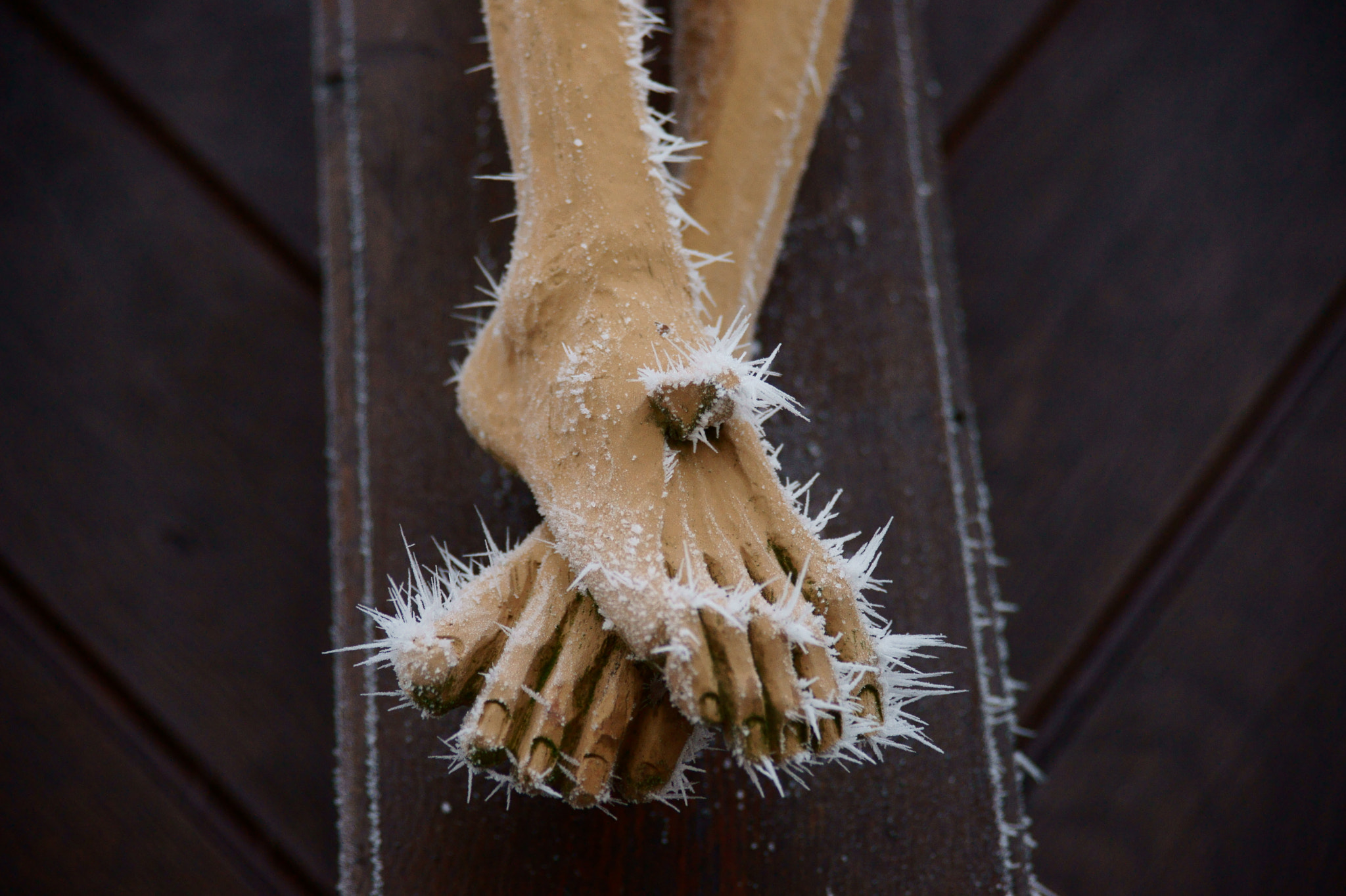 Minolta/Sony AF 24-105mm F3.5-4.5 (D) sample photo. Feet photography