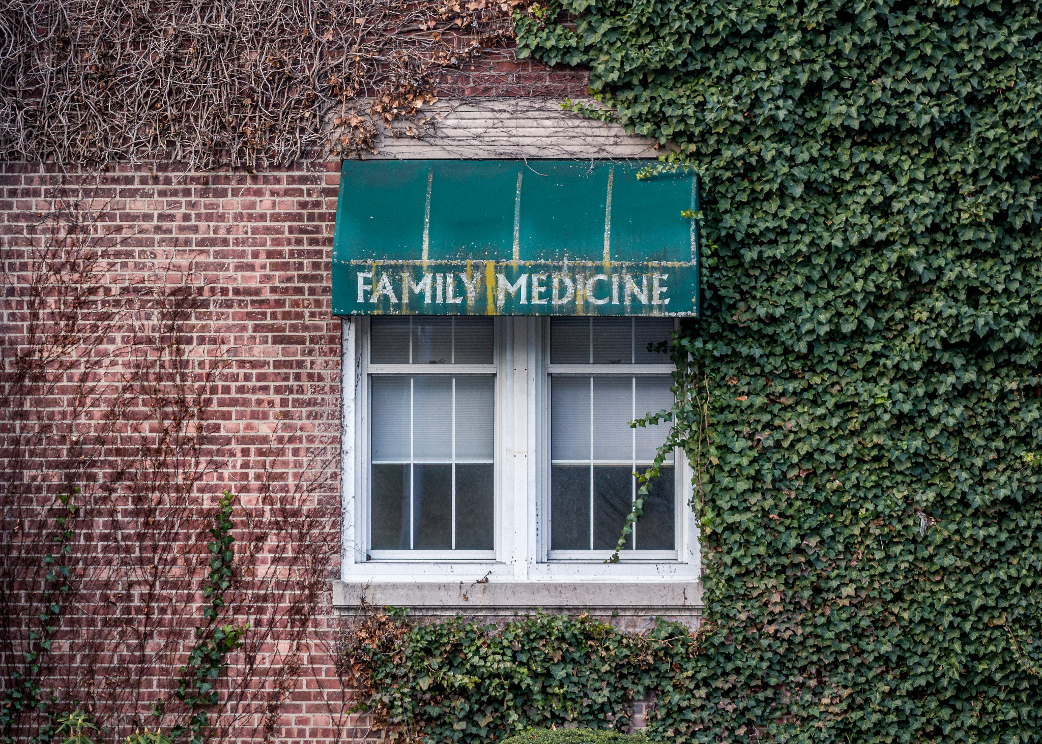 Canon EF 75-300mm f/4-5.6 USM sample photo. Family medicine photography