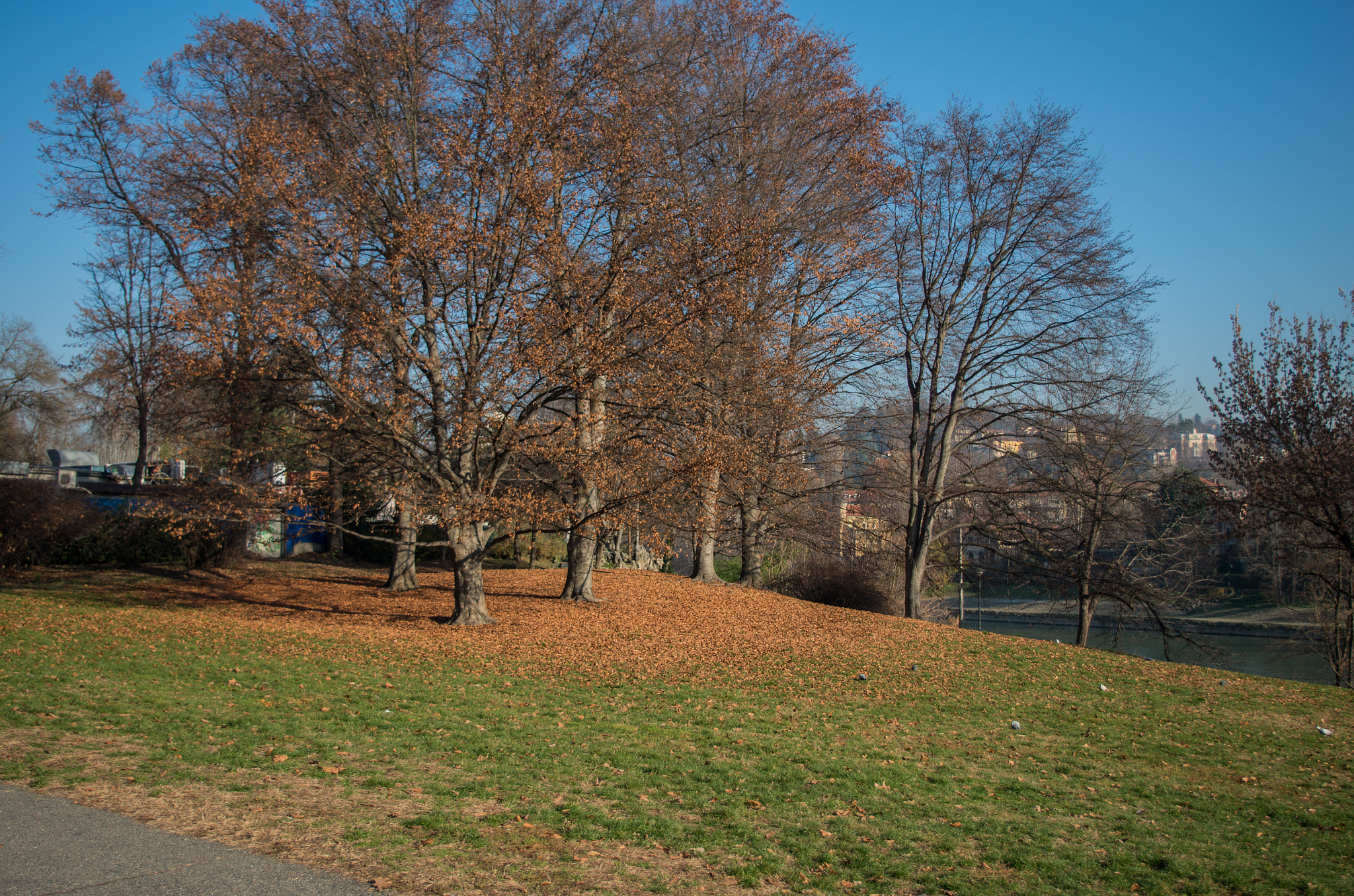 smc PENTAX-DA L 18-55mm F3.5-5.6 sample photo. 30685599473.jpg photography