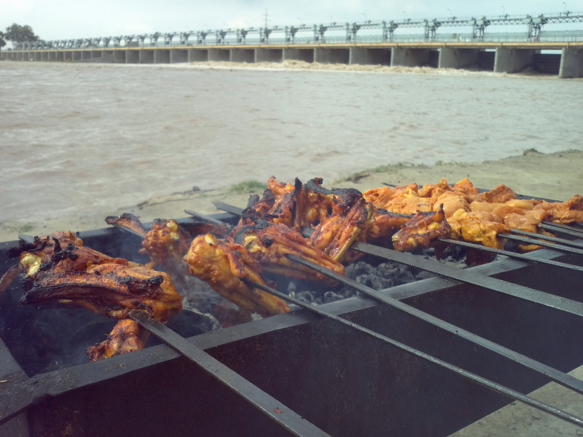 LG Optimus 2X sample photo. Barbecue at the river bank photography