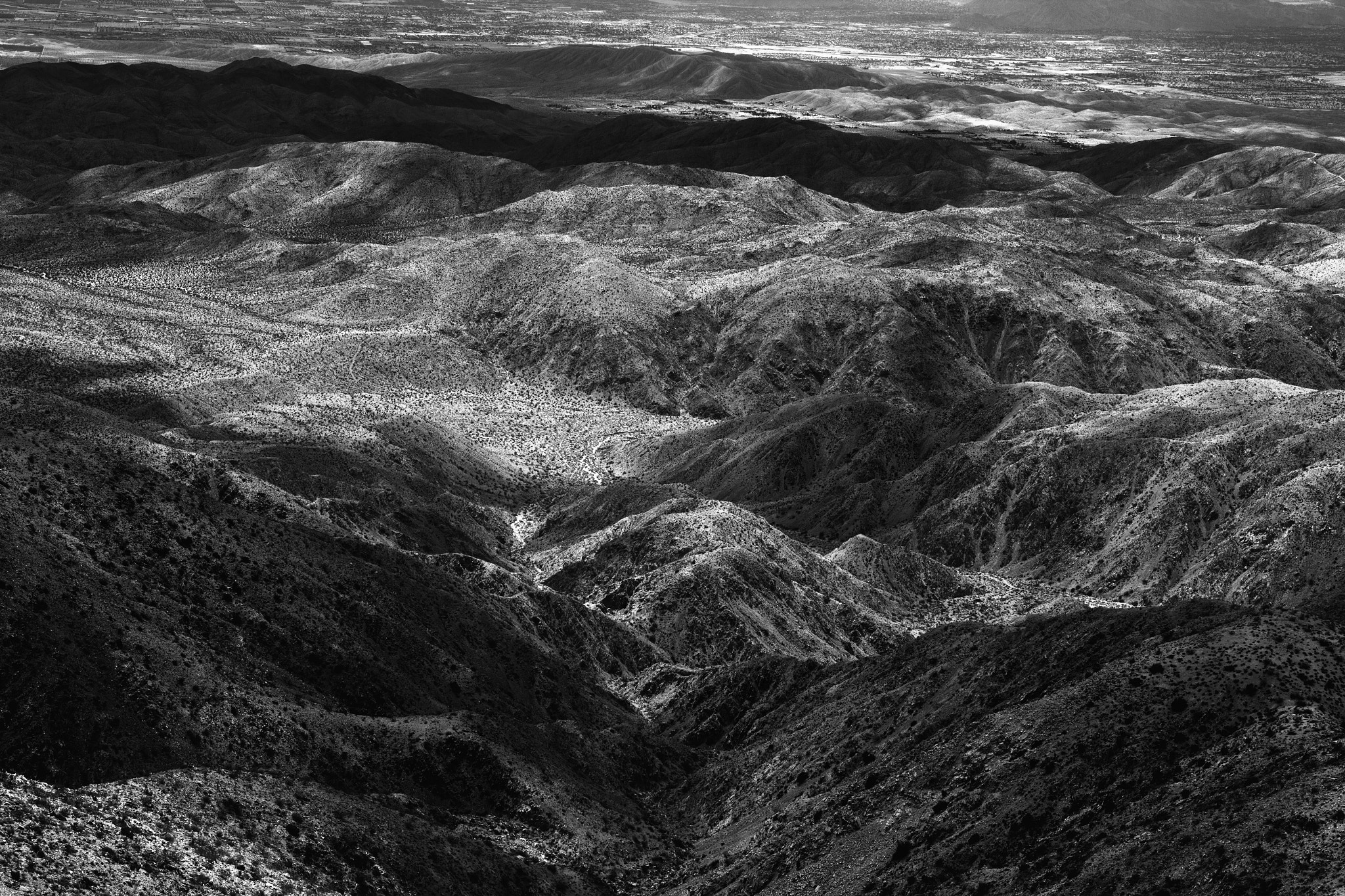 Sigma 18-35mm f/1.8 DC HSM sample photo. Joshua tree national park photography