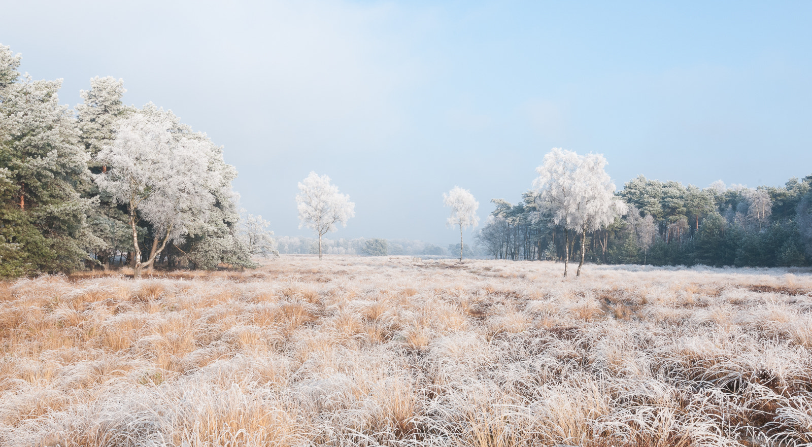 Tokina AT-X Pro 12-24mm F4 (IF) DX sample photo. Winterscape photography