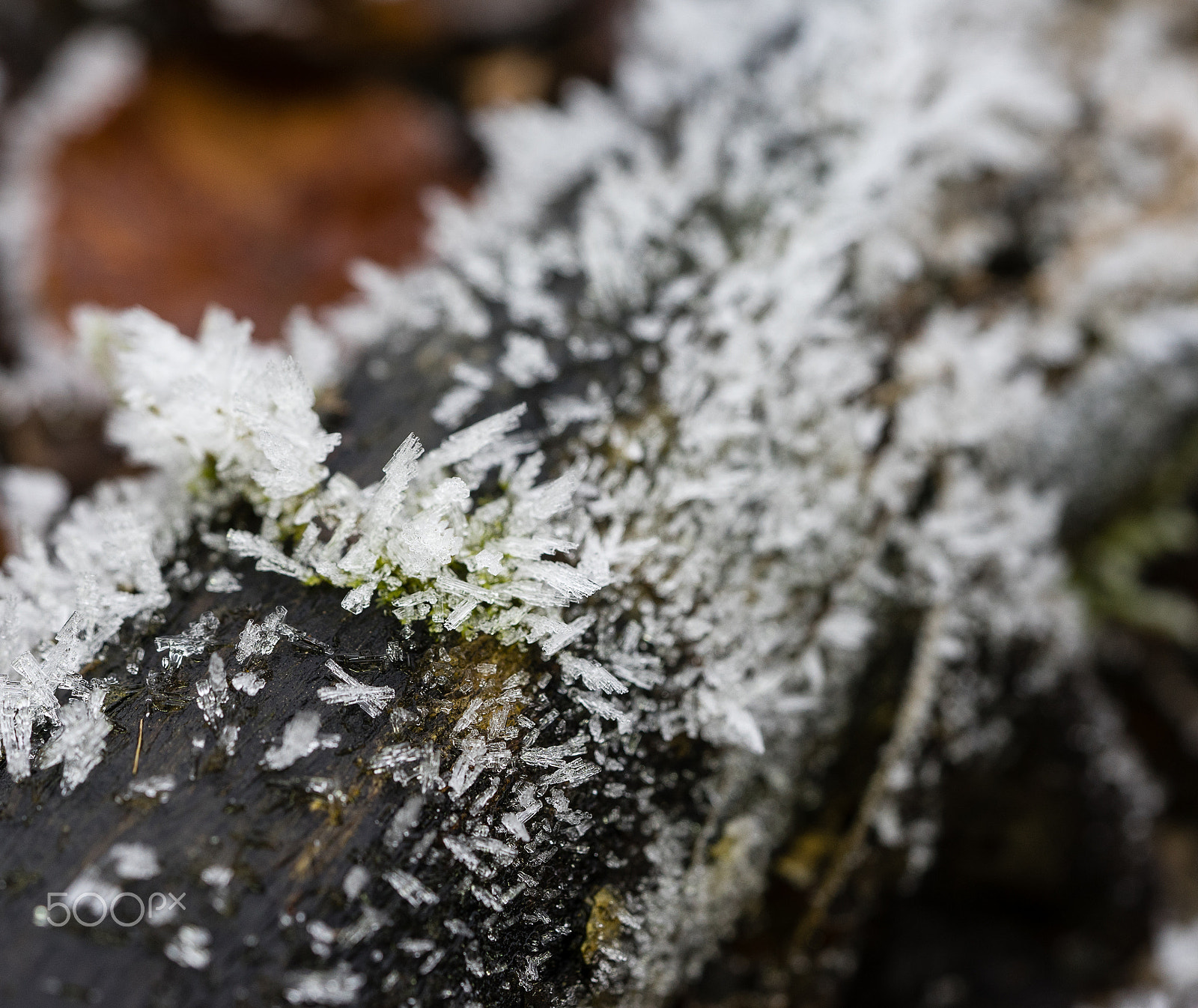 Sony a7 sample photo. Ice crystals photography