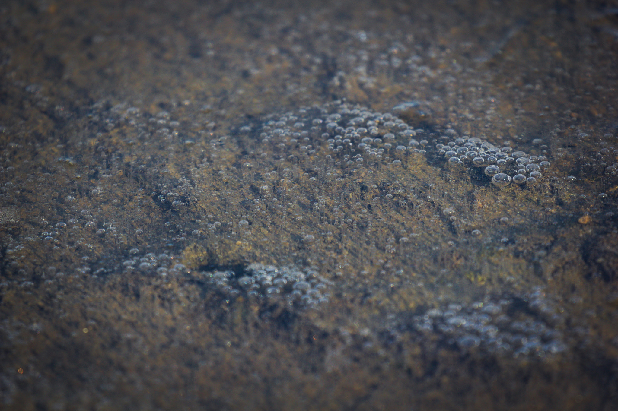 Canon EOS 60D sample photo. Bubble in ice photography