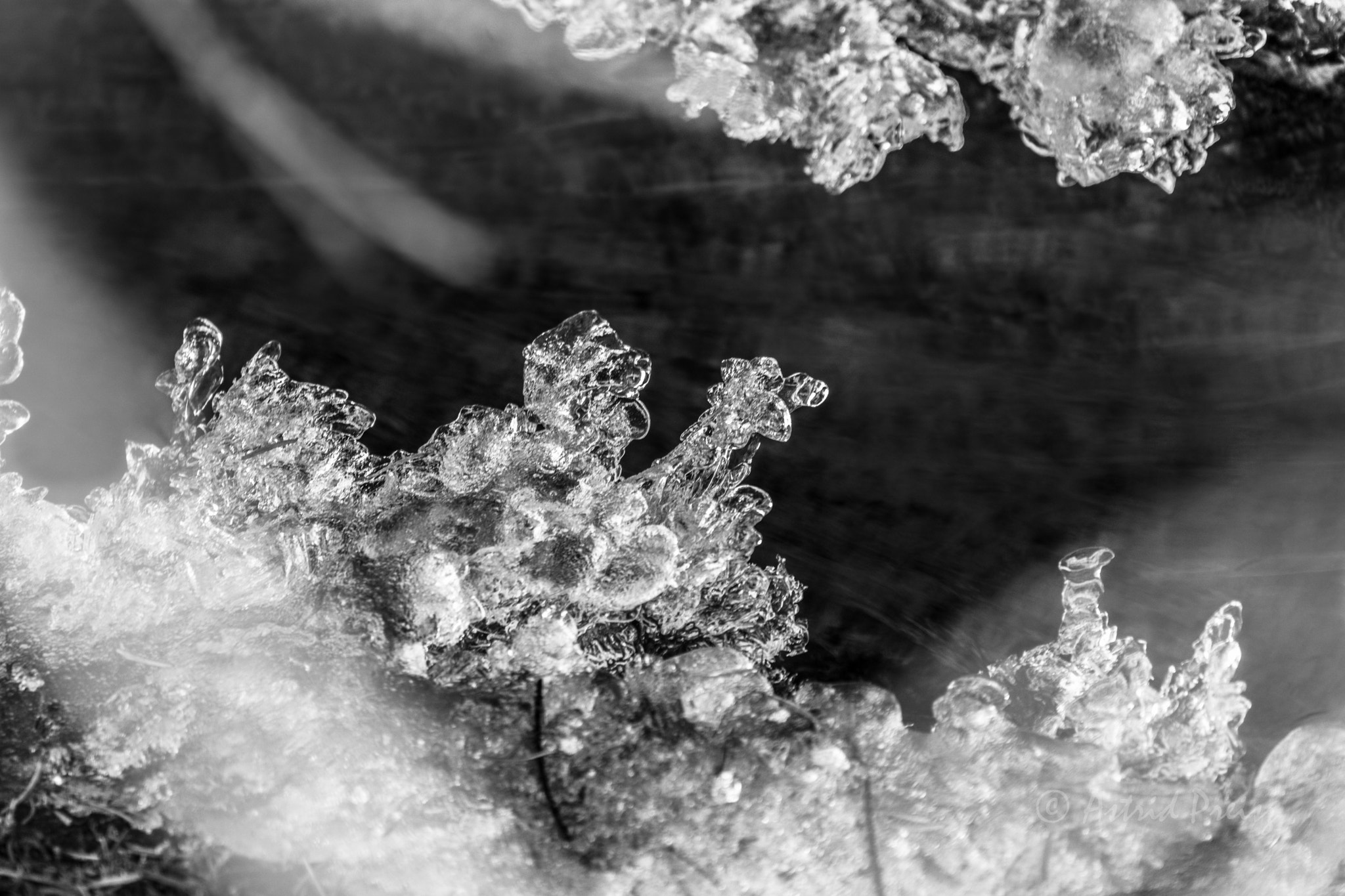 Sony FE 70-300mm F4.5-5.6 G OSS sample photo. Ice flower photography