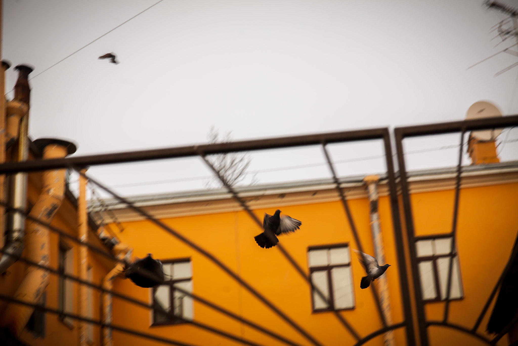 Sigma 24-35mm F2 DG HSM Art sample photo. Petersburg street photography