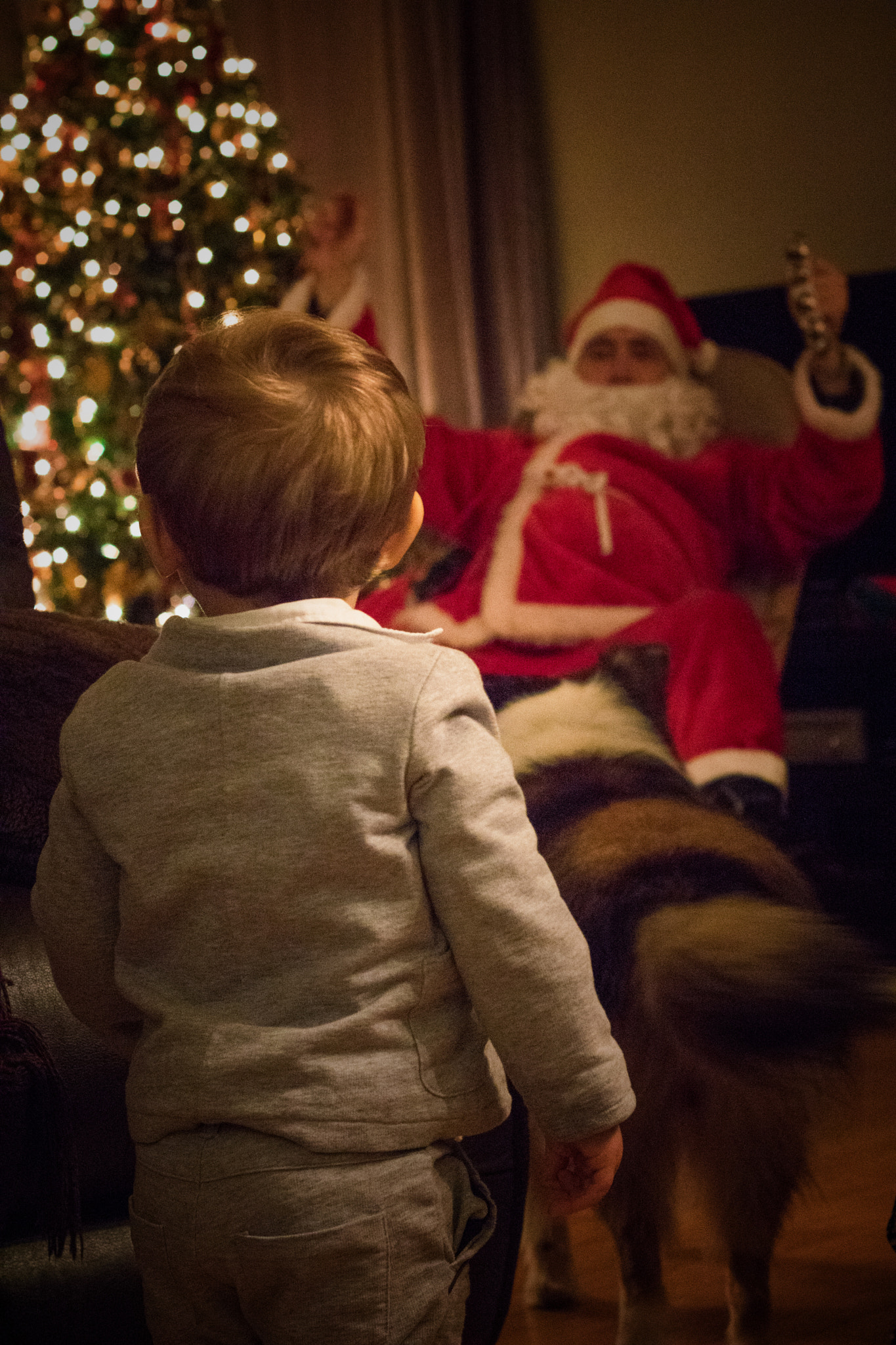 Canon EOS 760D (EOS Rebel T6s / EOS 8000D) + Canon EF 50mm F1.8 II sample photo. Santa photography