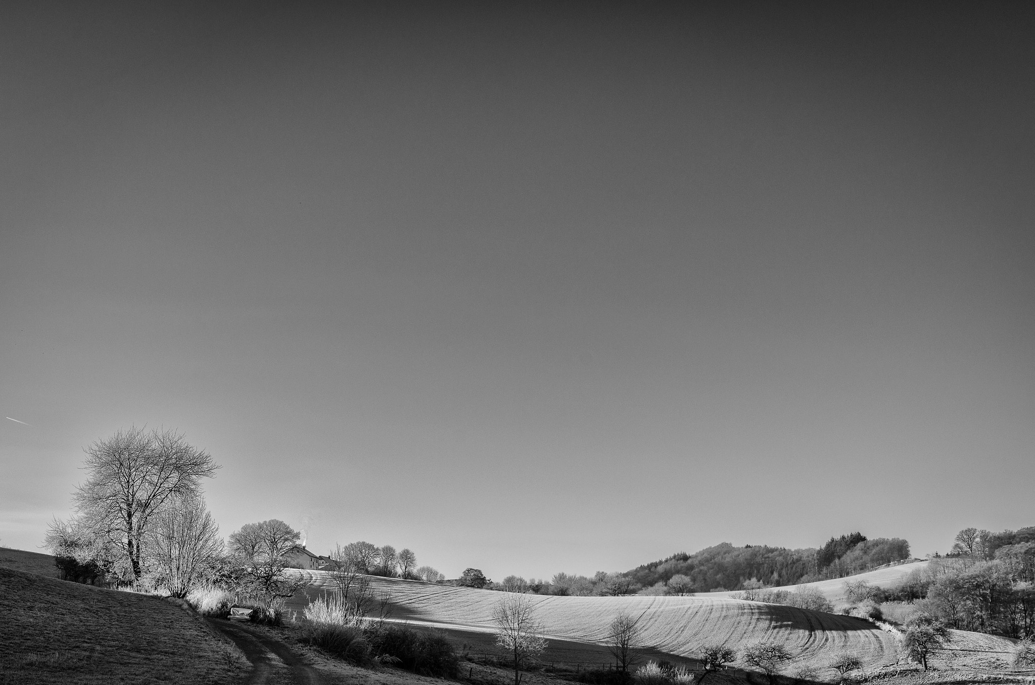 Nikon D5100 + Sigma 18-50mm F2.8 EX DC Macro sample photo. Winter morning photography