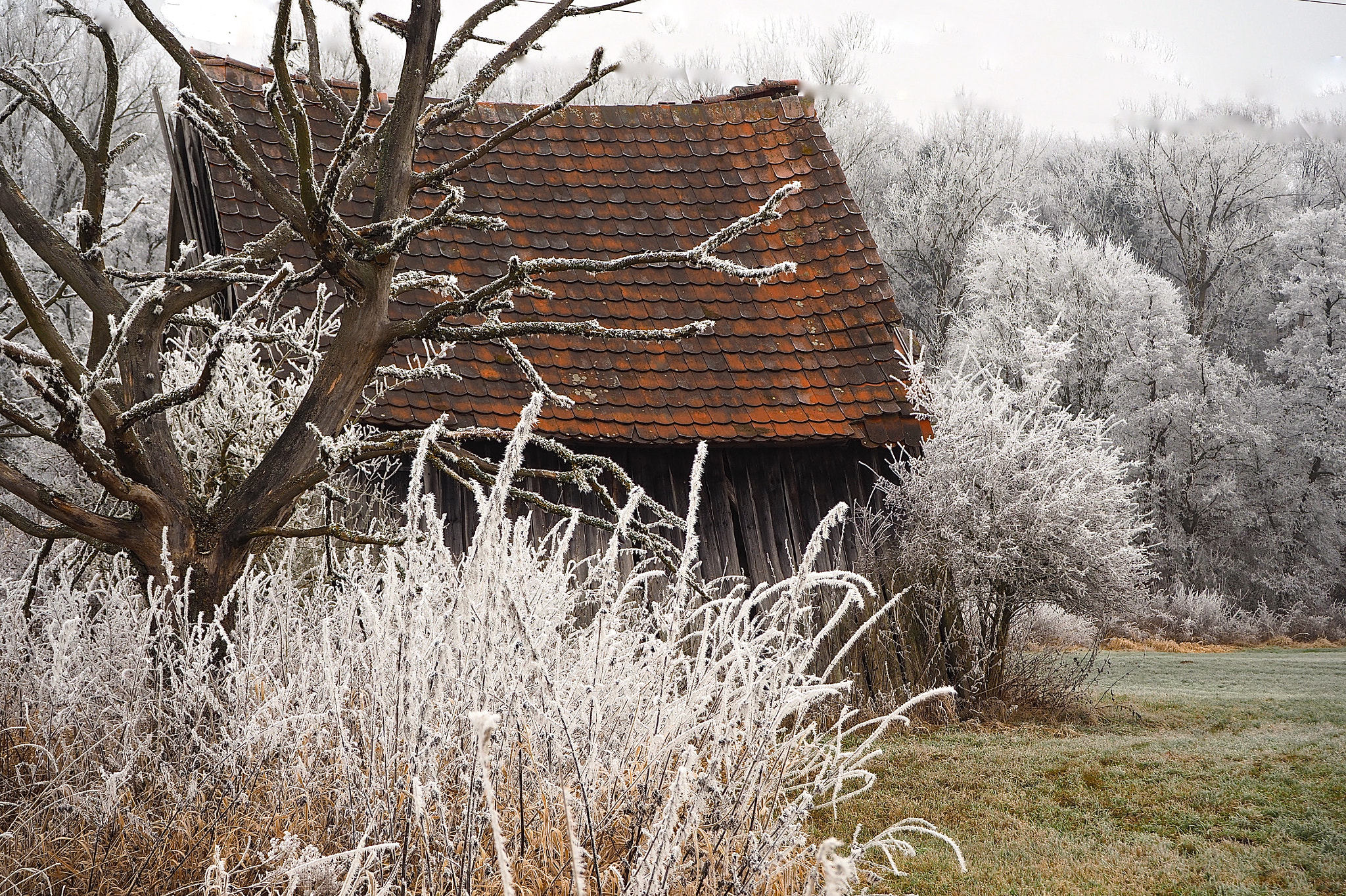 Olympus M.Zuiko Digital ED 14-42mm F3.5-5.6 EZ sample photo. Frosty & abandoned barn photography