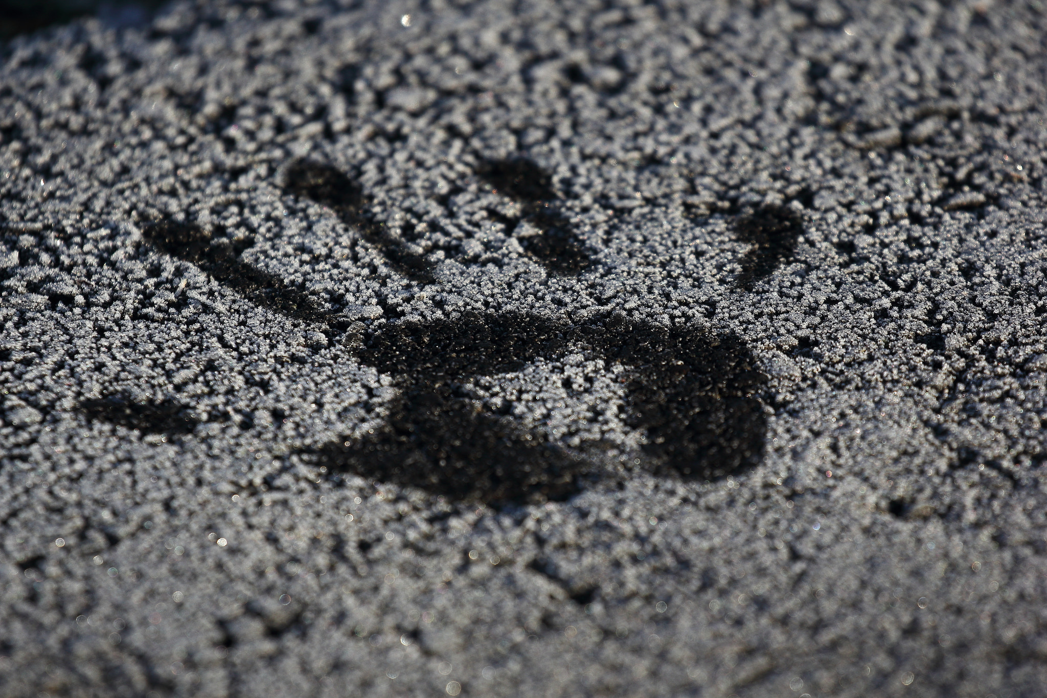 Canon EOS 60D sample photo. Mark on asphalt photography