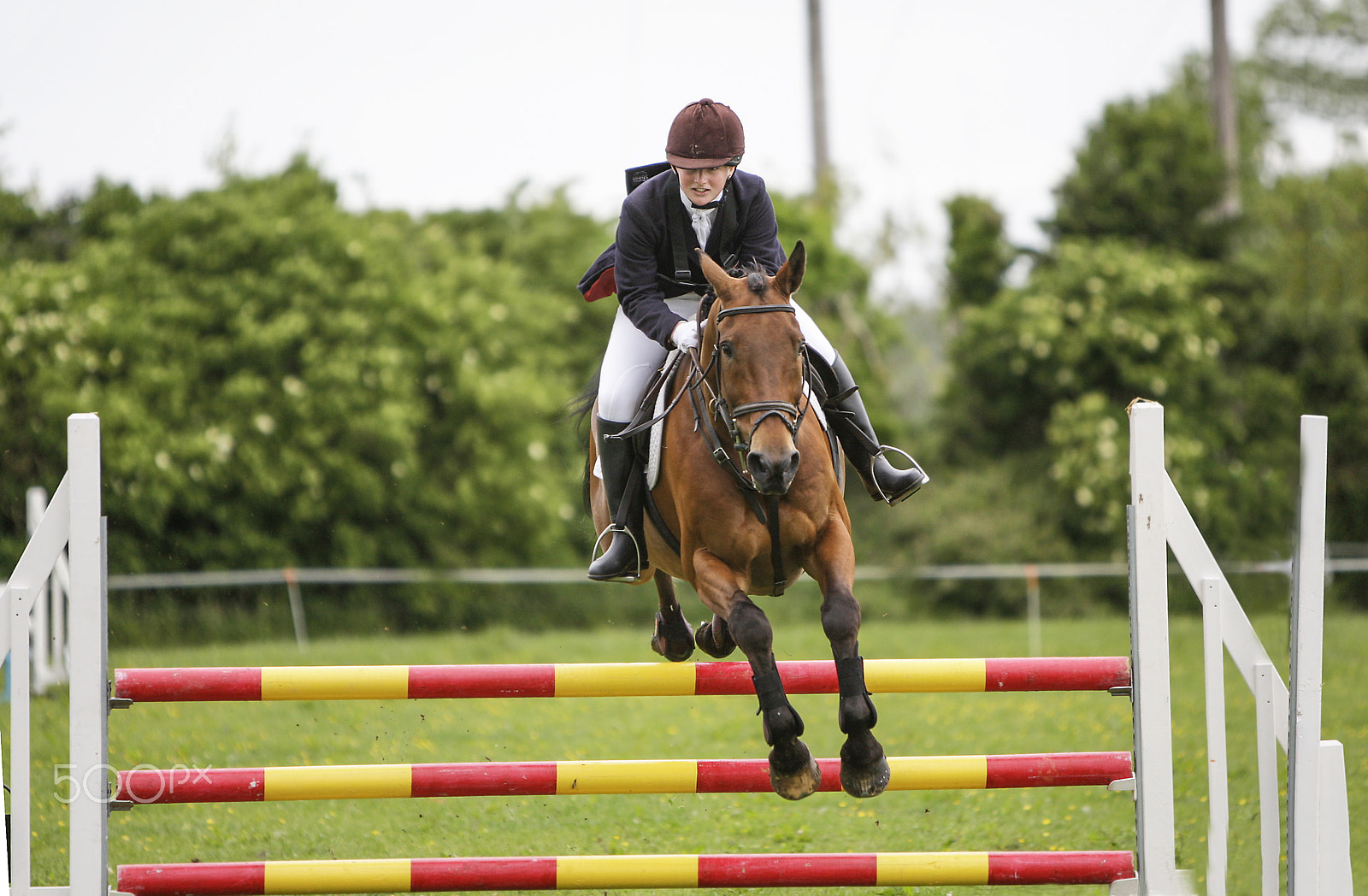 Canon EOS-1D Mark III sample photo. Eventing ireland. photography
