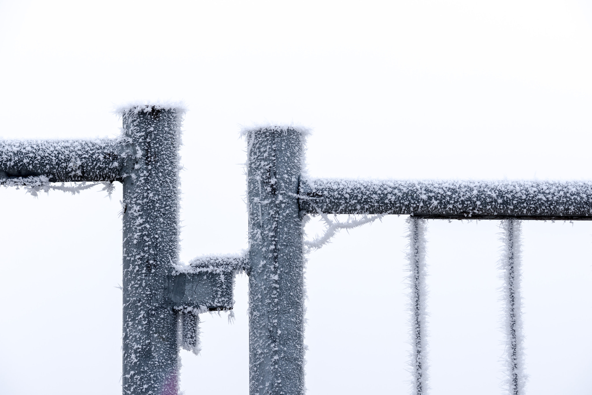 Sigma 50-150mm F2.8 EX APO DC HSM sample photo. Fence. photography