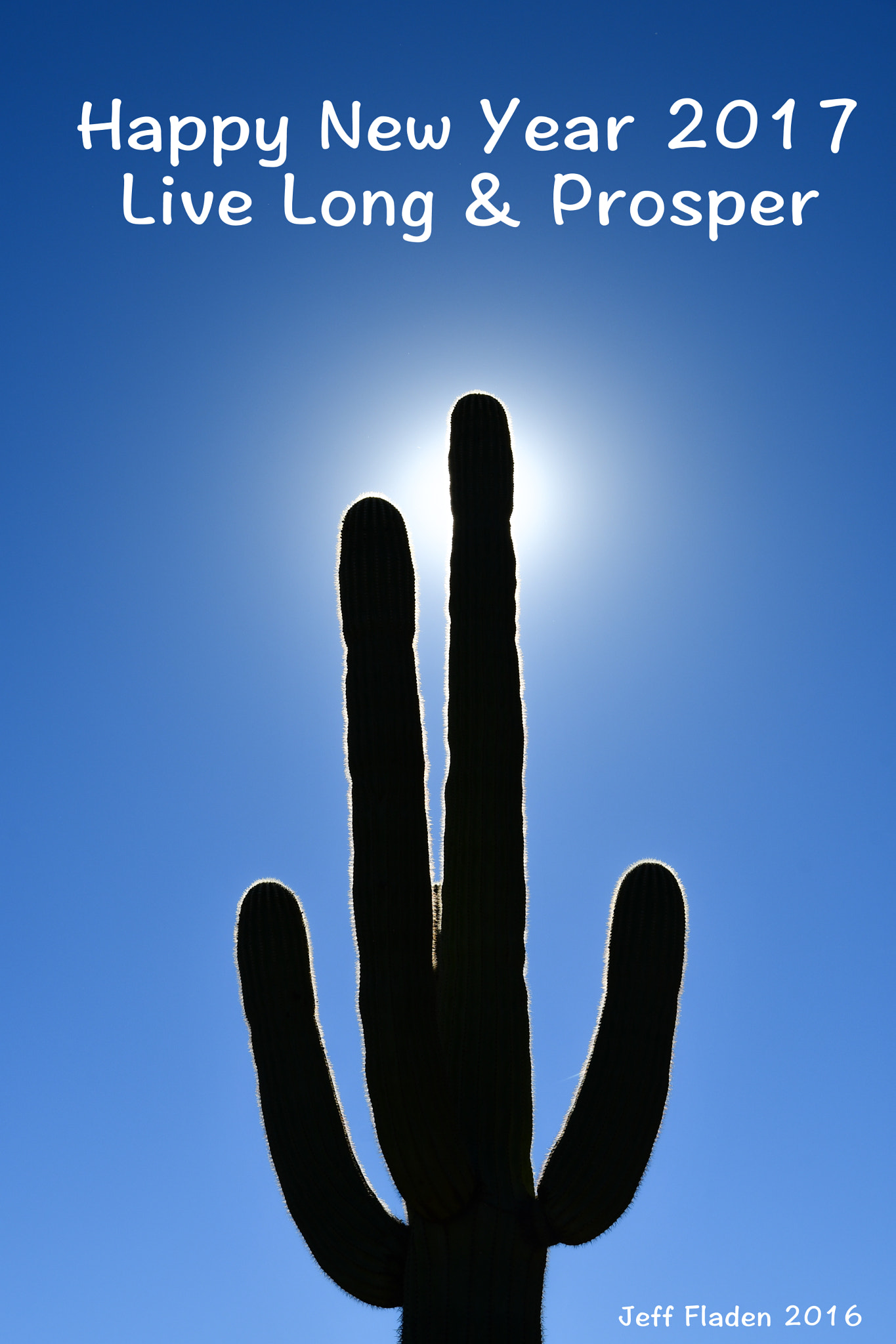 Nikon D500 sample photo. Live long and prosper photography