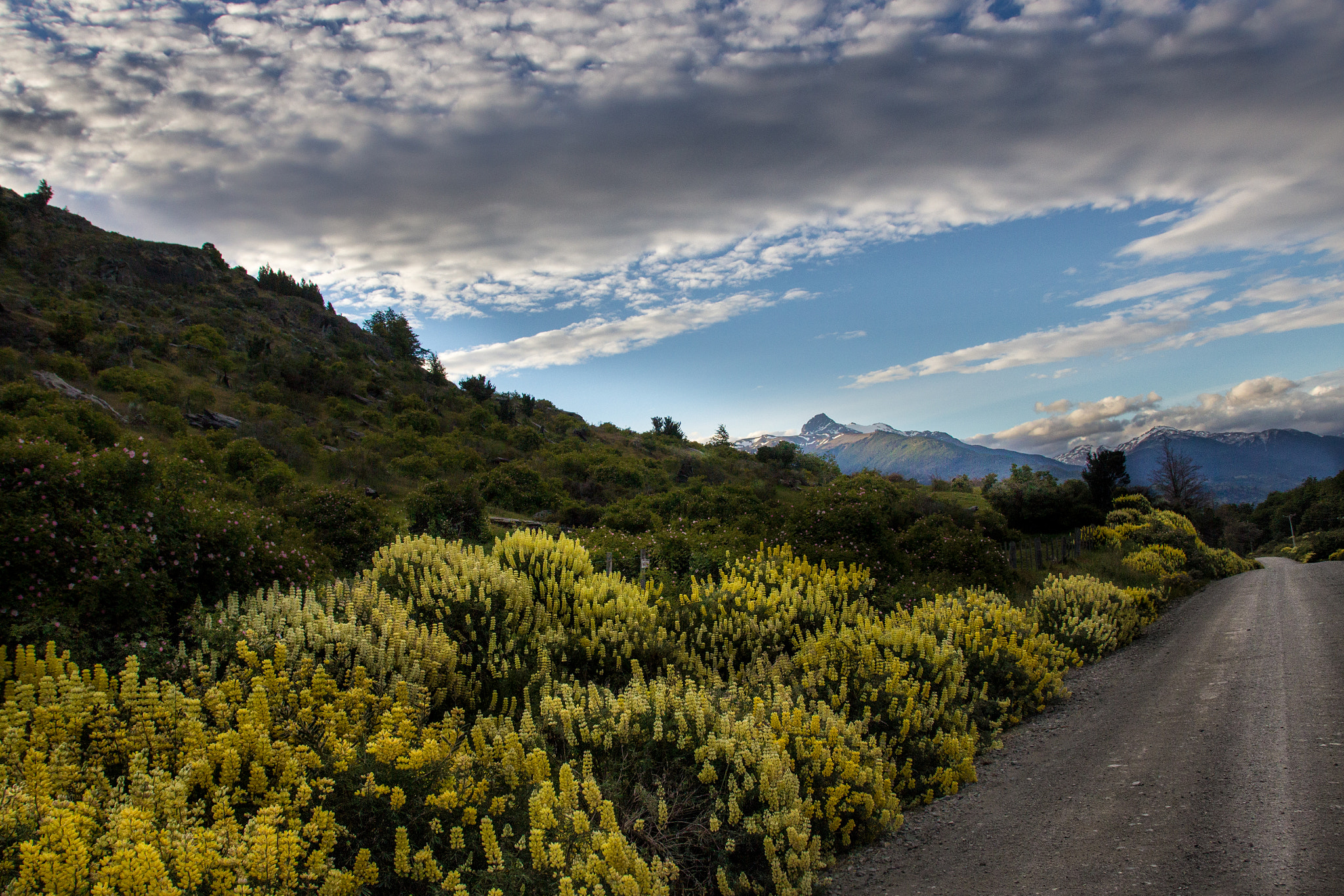 Canon EOS 600D (Rebel EOS T3i / EOS Kiss X5) sample photo. Carretera austral , chile. photography
