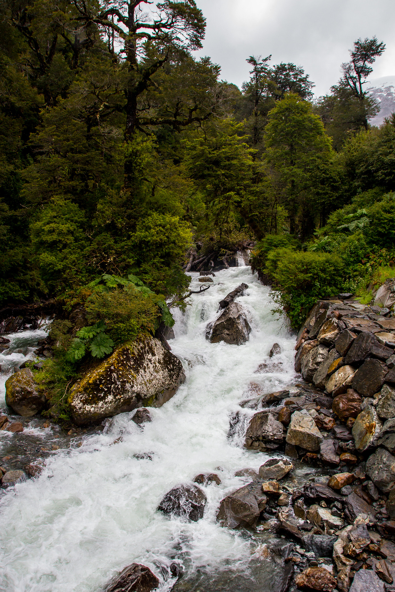 Canon EOS 600D (Rebel EOS T3i / EOS Kiss X5) sample photo. Carretera austral , chile. photography