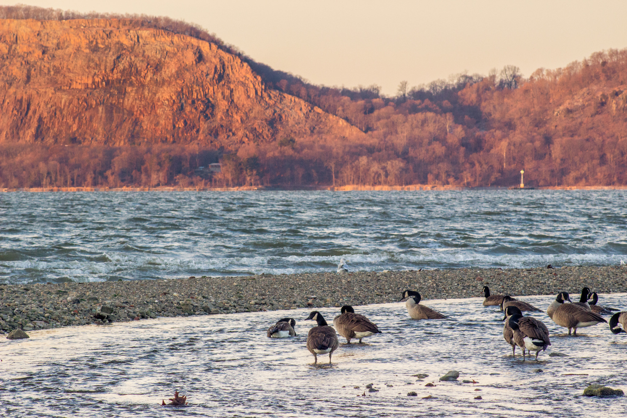Canon EF 75-300mm f/4-5.6 USM sample photo. Morning bath time photography