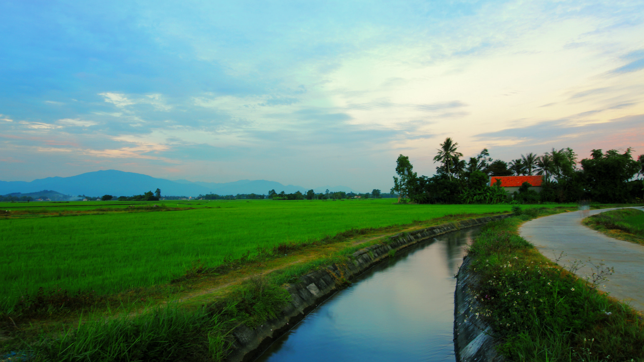 Canon EOS 700D (EOS Rebel T5i / EOS Kiss X7i) sample photo. Img photography