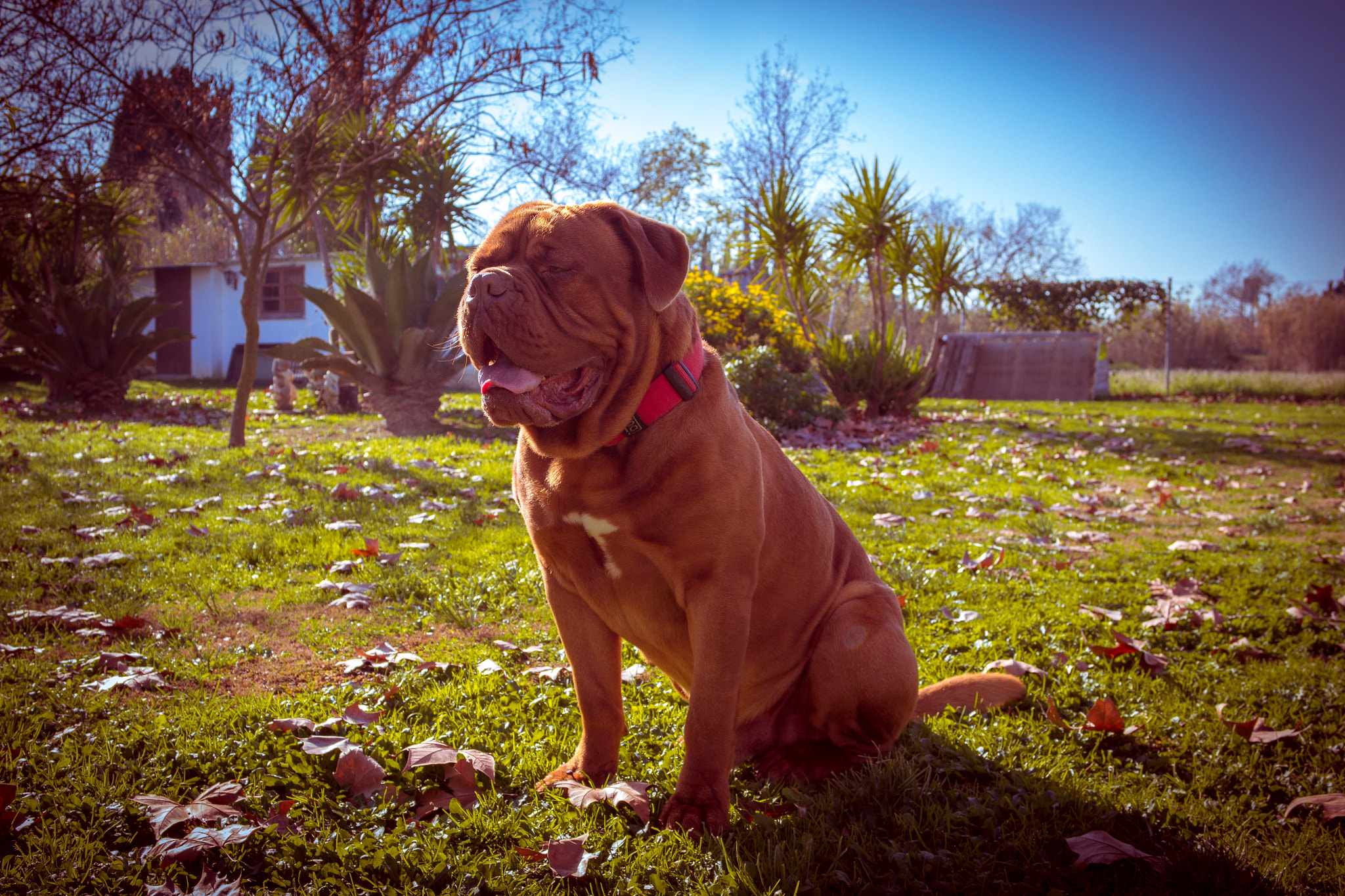 Samsung NX 20-50mm F3.5-5.6 ED sample photo