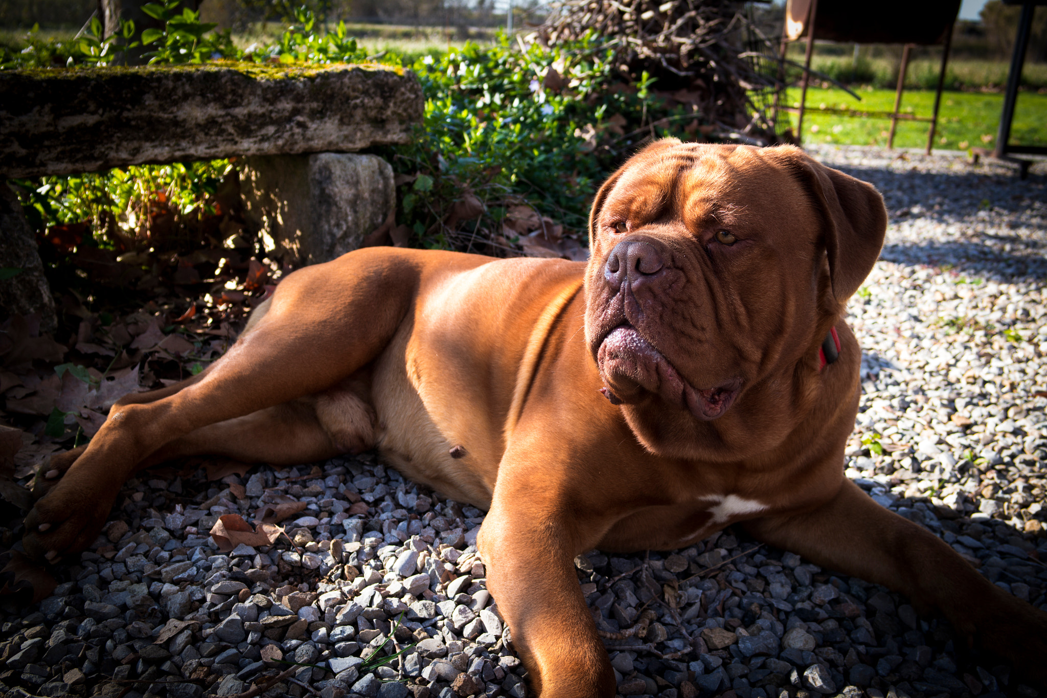 Samsung NX 20-50mm F3.5-5.6 ED sample photo
