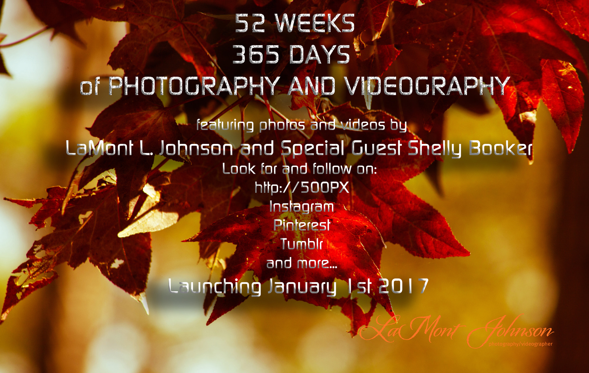Canon EOS 5D Mark II sample photo. 52 week 365 day photo challenge photography