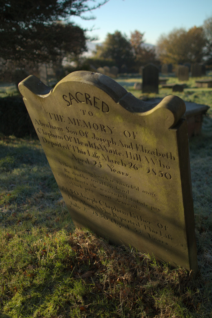 Canon EF 24mm F1.4L II USM sample photo. Leaning headstone photography