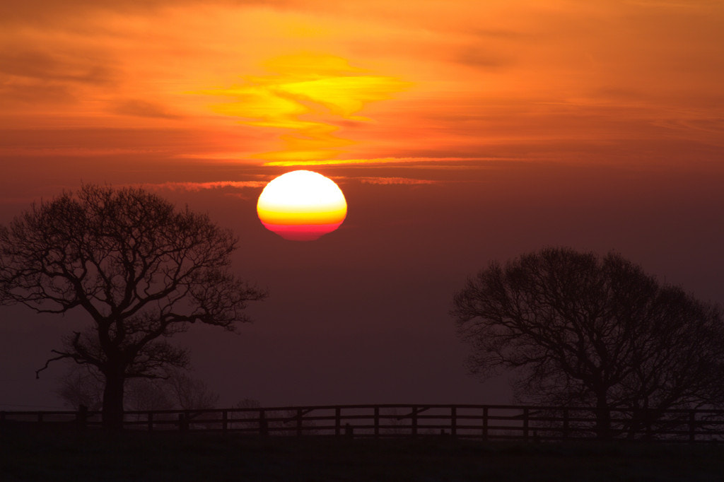 Canon EOS 7D + Canon EF 300mm F4L IS USM sample photo. Sunrise and trees photography